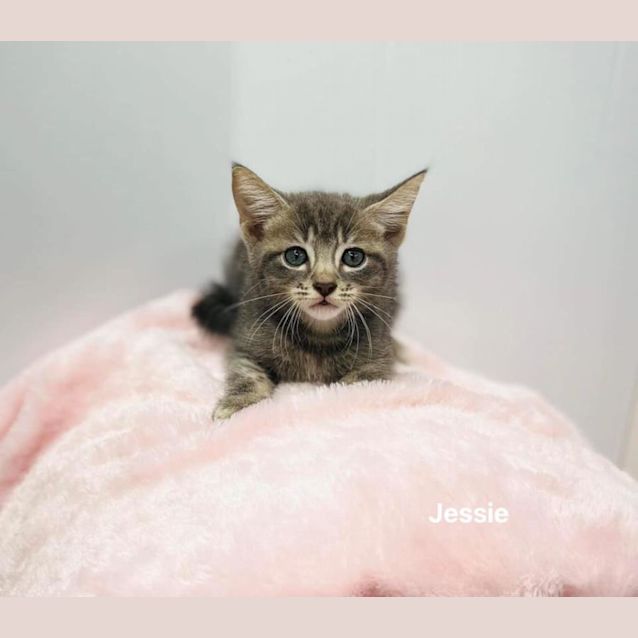 Photo of Jessie