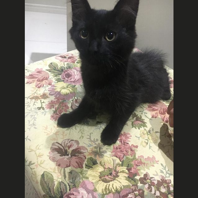 Photo of Jett