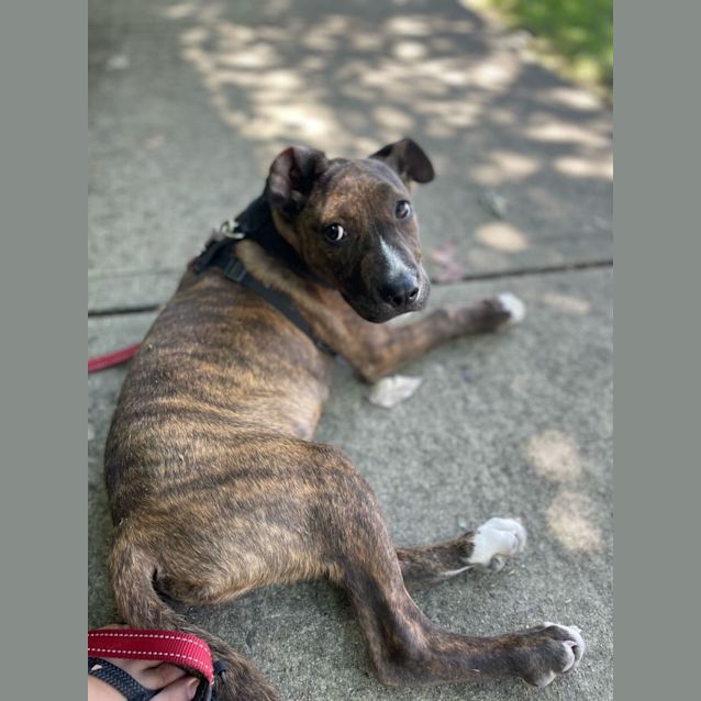 Photo of Ralph