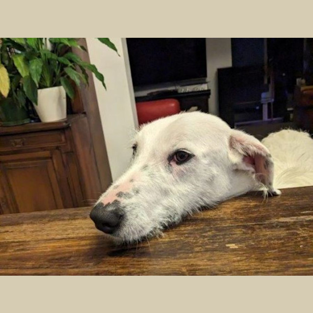 Photo of Tess Elderton