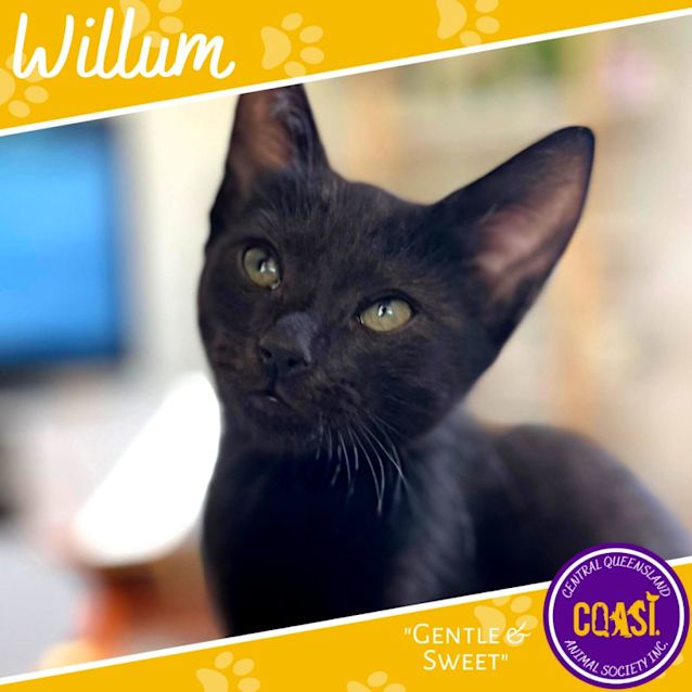 Photo of Willum