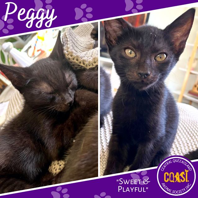 Photo of Peggy