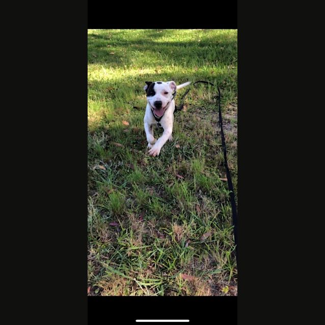 Photo of Eric