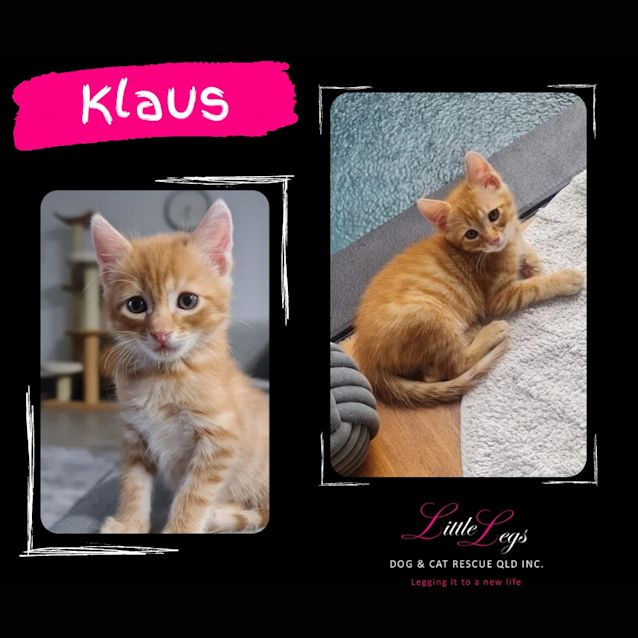 Photo of Klaus