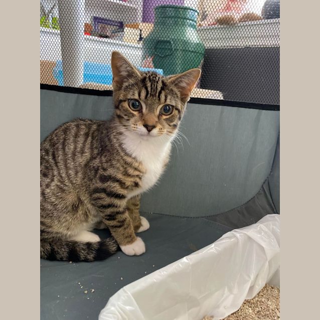 Photo of Max   Located In Cranbourne