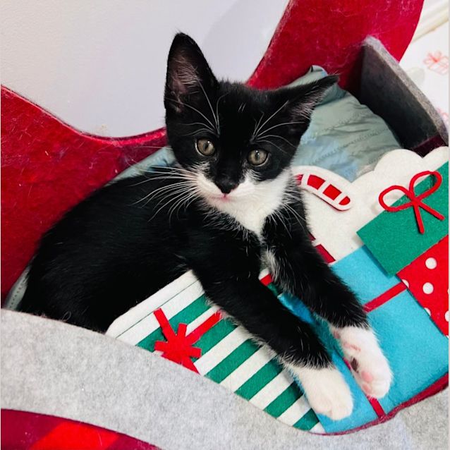 Photo of Fred   Located In Doreen 