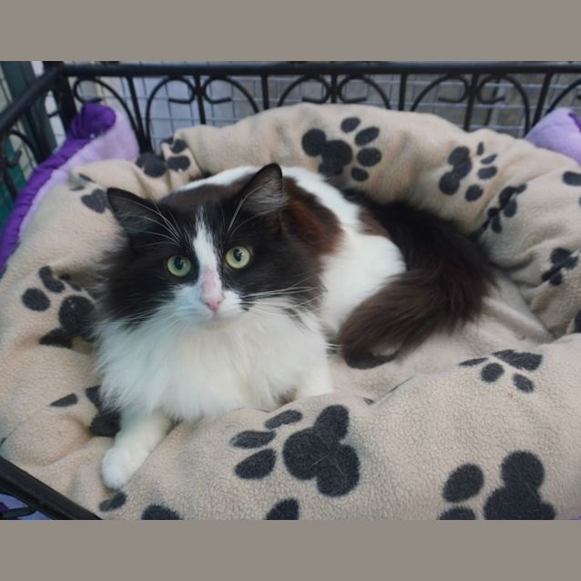 Photo of Alice