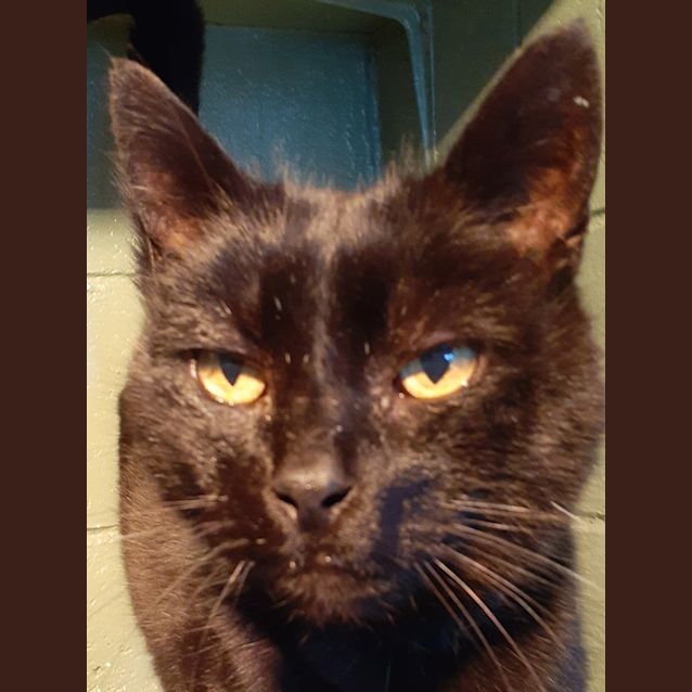 Photo of Digger