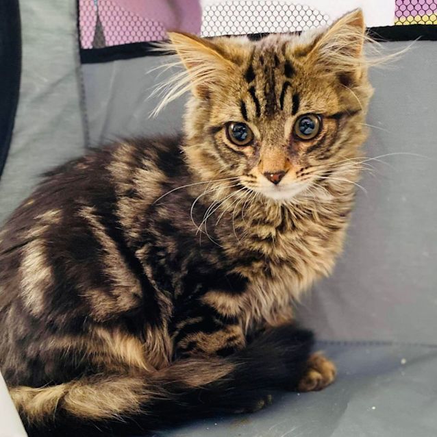 Photo of Xen   Located In Cranbourne