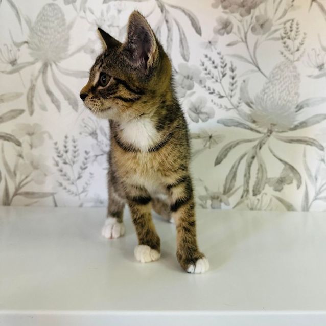 Photo of Jayne   Located In Preston