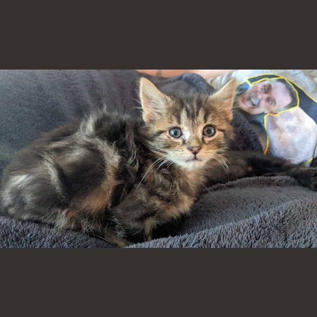 Photo of Maverick