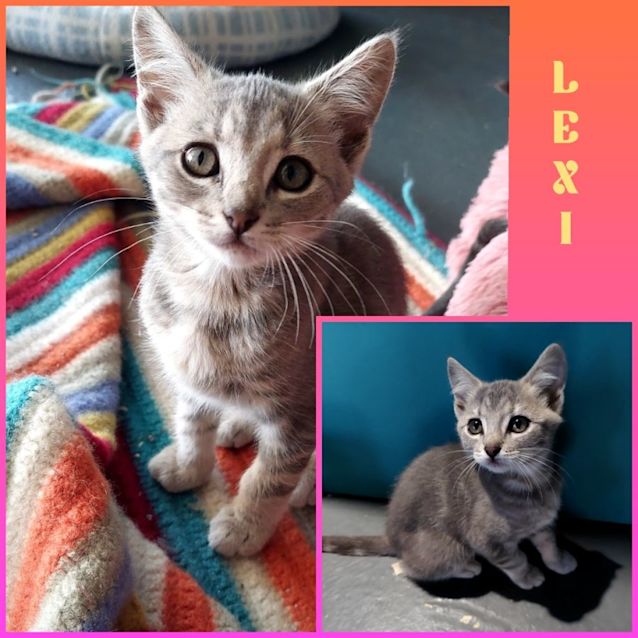 Photo of Lexi