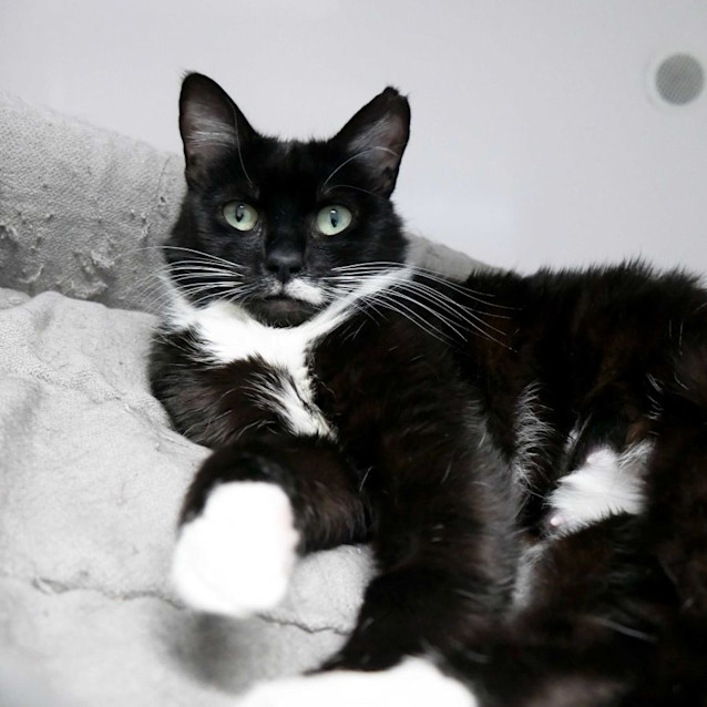 Photo of Sienna Sta010482