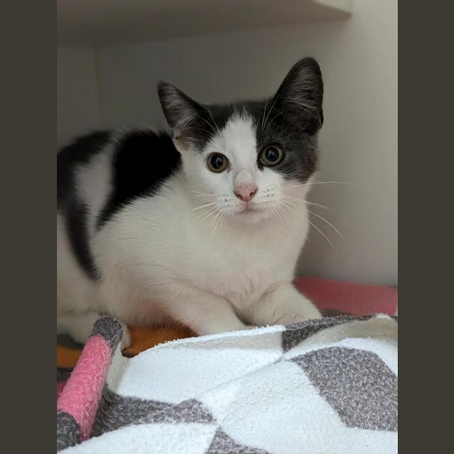 Photo of Lumi
