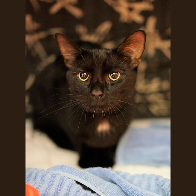 Photo of Zero