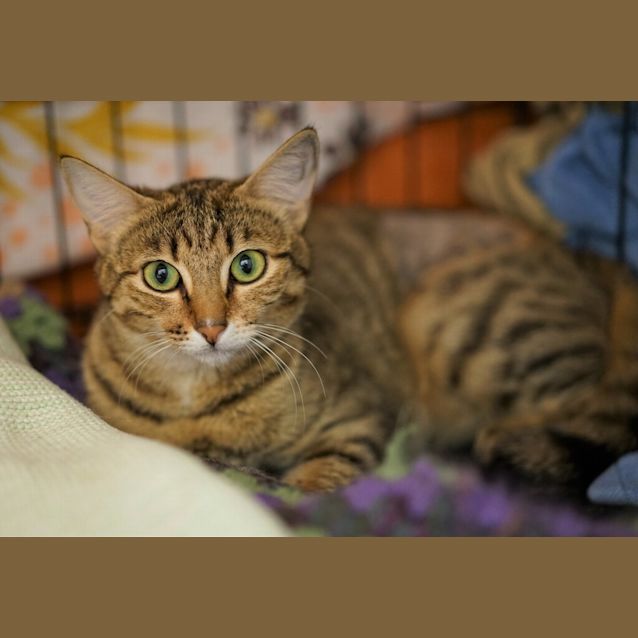 Photo of Mia