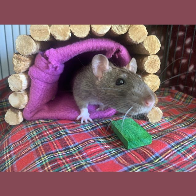 Photo of Miss Bobbi