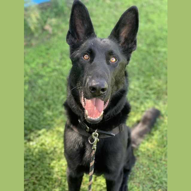 Photo of Smoke