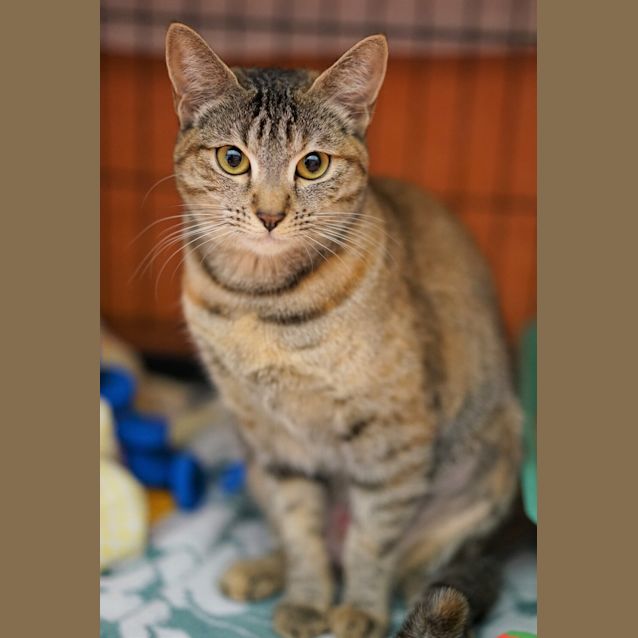 Photo of Charlotte