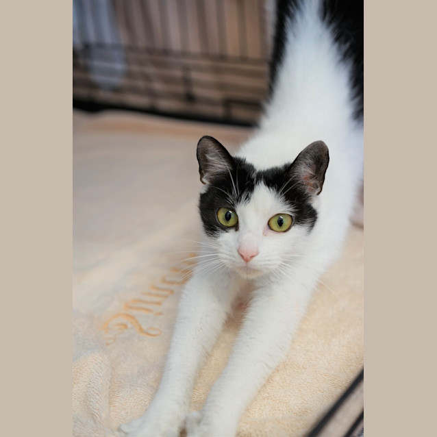 Photo of Lulu