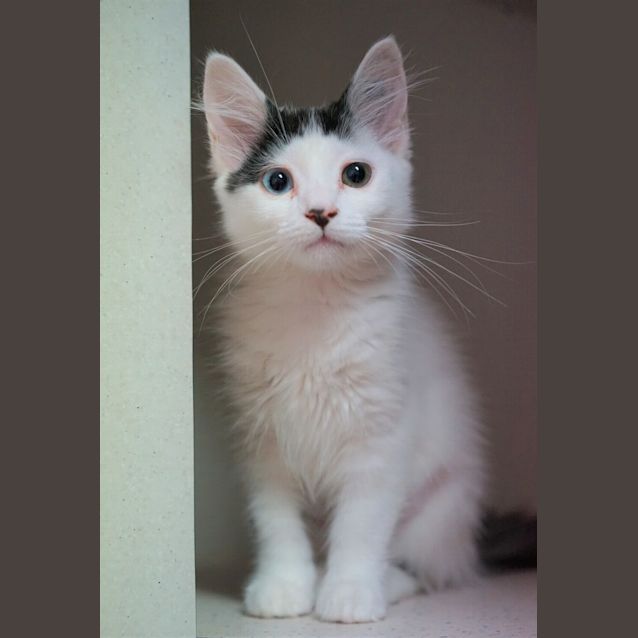 Photo of Meg