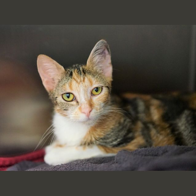 Photo of Ms. Boots