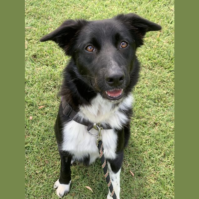 Photo of Lucy