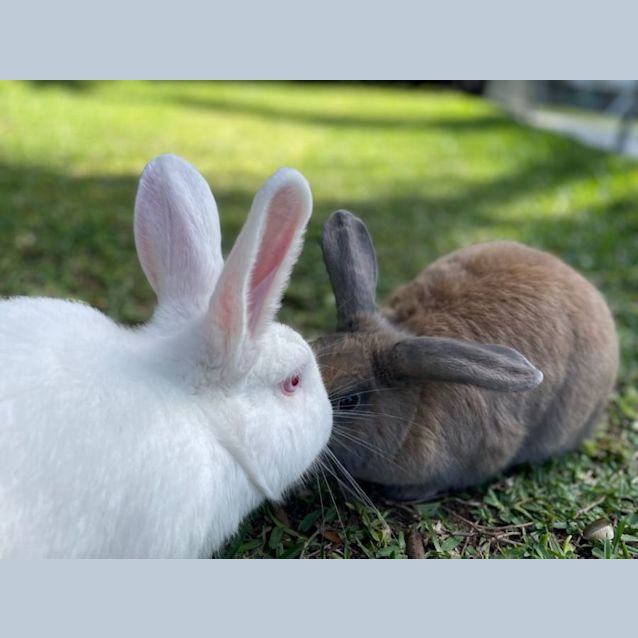 Photo of Bonnie & Benny