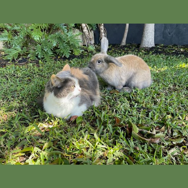 Photo of Bonnie & Benny