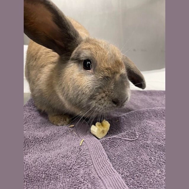 Photo of Bonnie & Benny