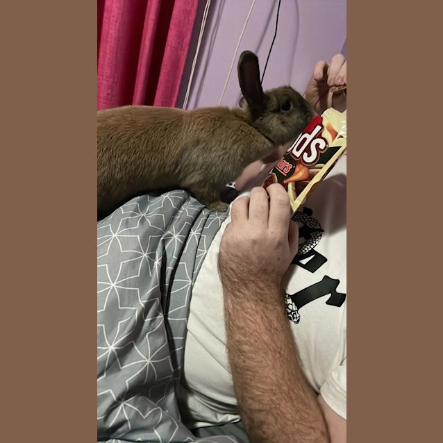 Photo of Bonnie & Benny