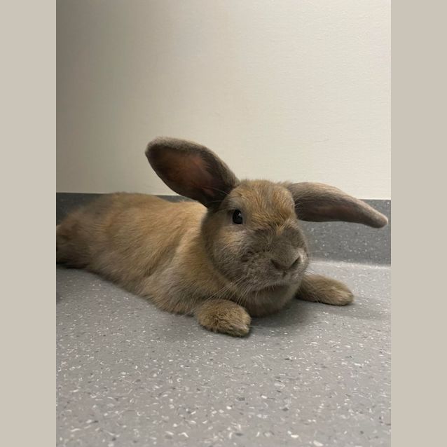 Photo of Bonnie & Benny