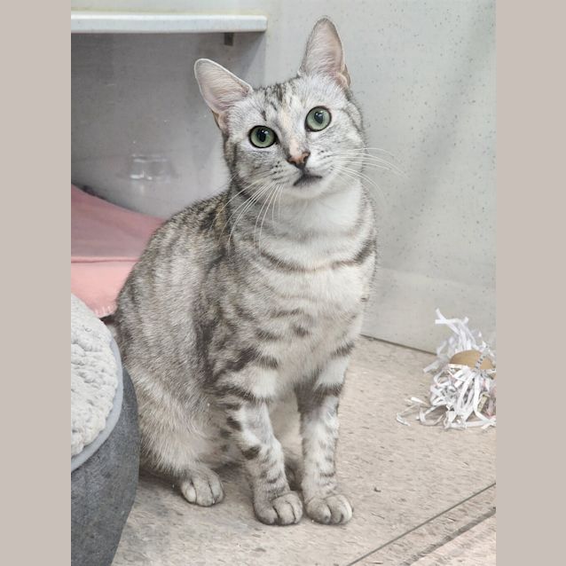 Photo of Esmeralda