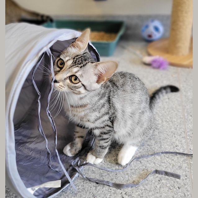 Photo of Enid Sinclair