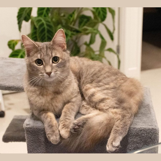 Photo of Lola