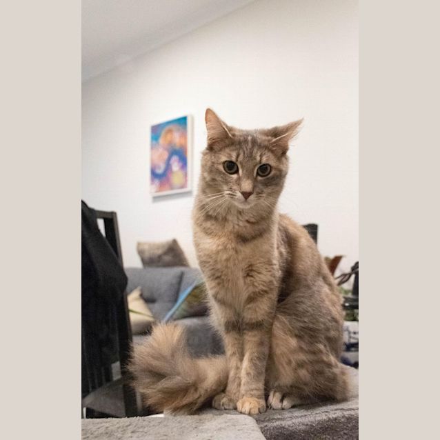 Photo of Lola