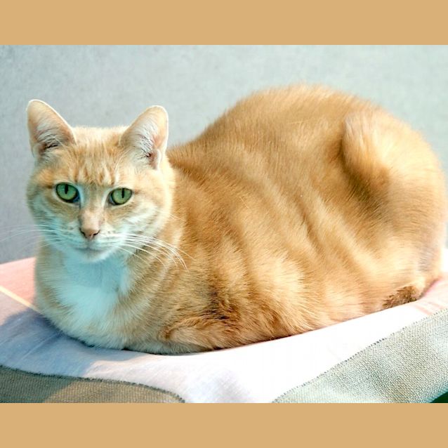 Photo of Champers