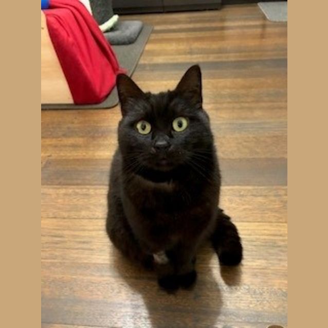 Photo of Carbon