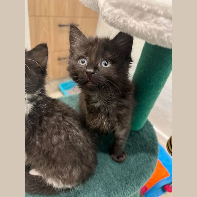 Photo of Frida & Flora