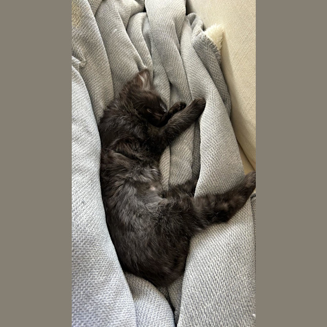 Photo of Frida & Flora