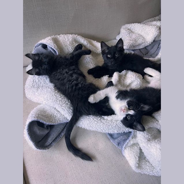 Photo of Frida & Flora