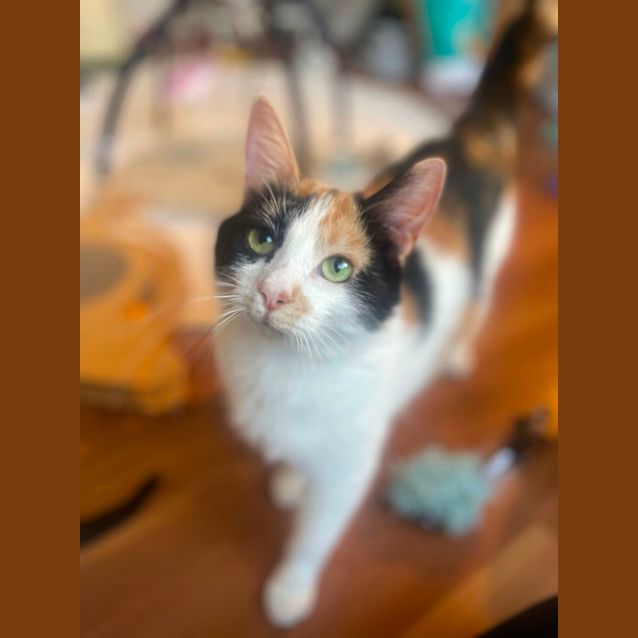 Photo of Francesca And Maggie