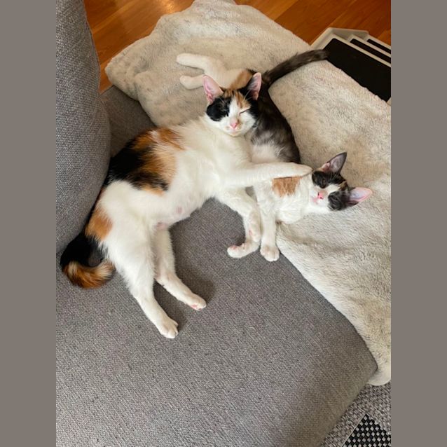 Photo of Francesca And Maggie