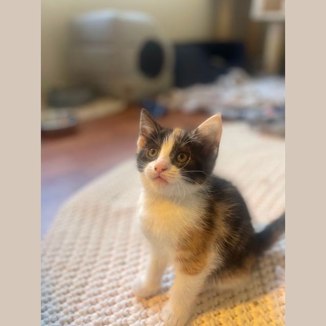 Photo of Francesca And Maggie