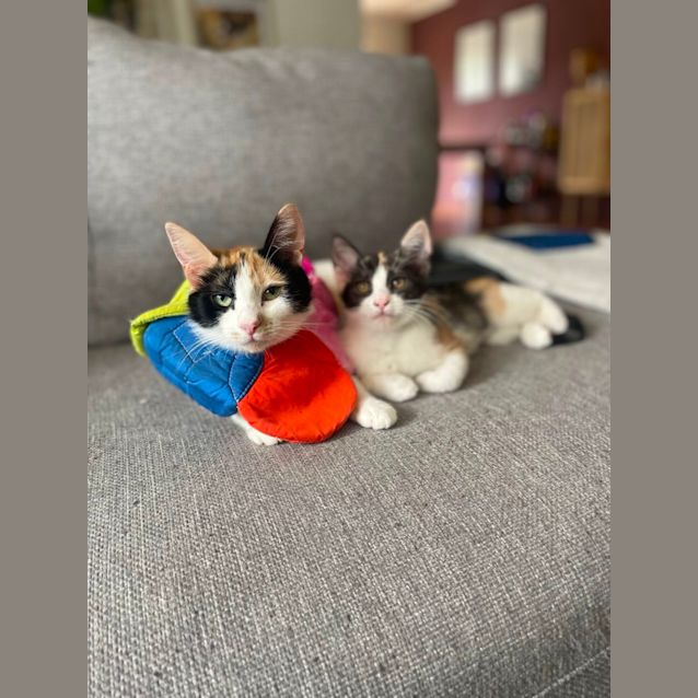 Photo of Francesca And Maggie