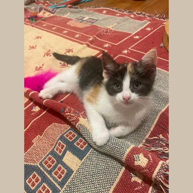 Photo of Francesca And Maggie