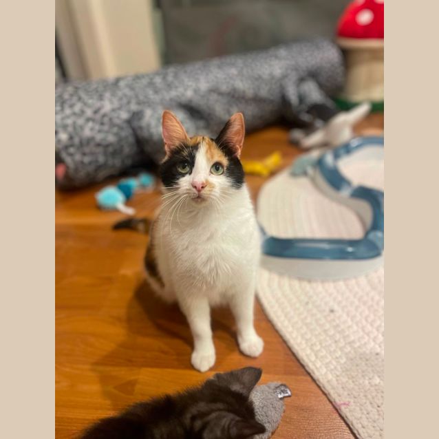 Photo of Francesca And Maggie