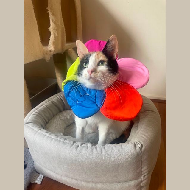 Photo of Francesca And Maggie