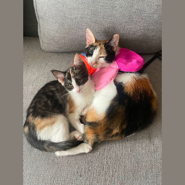 Photo of Francesca And Maggie