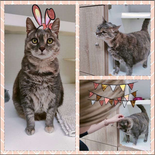Photo of 👑 Mimi 👑 F02267